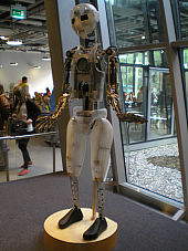 cnk20122