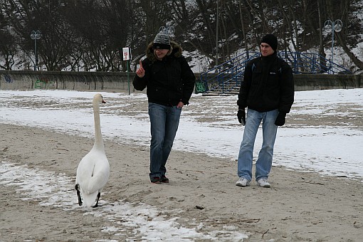 gdynia2010 - 007