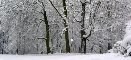 karmniki2012
