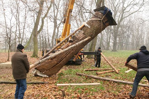 konserwacjakaplfb2-04