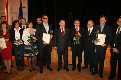 wierzba201113